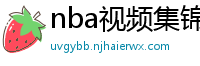 nba视频集锦